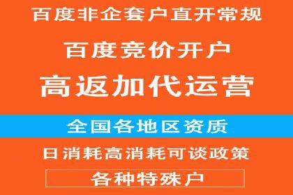 百度竞价排名服务：助力企业快速崛起